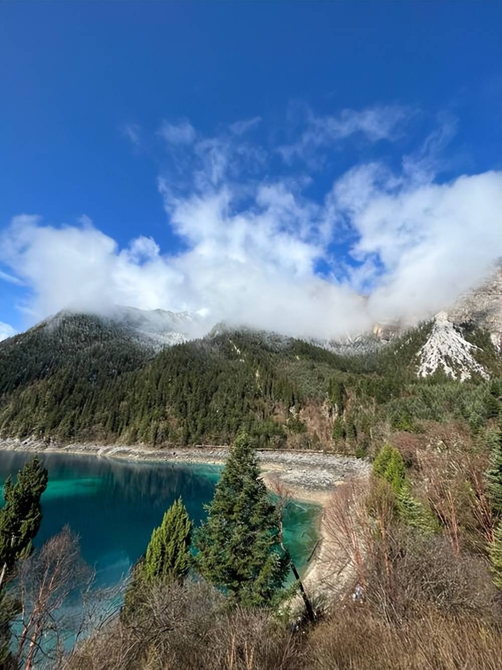 而鲁能也乐 而鲁能也乐