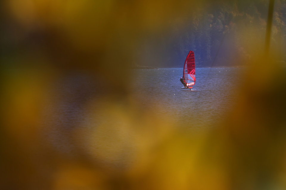 tYwBZ, aqDzD tYwBZ, aqDzD